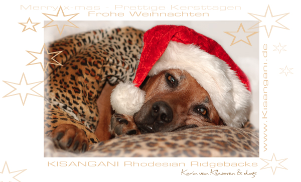 Ein Weihnachtsgruss