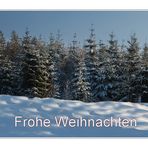 Ein Weihnachtswald...