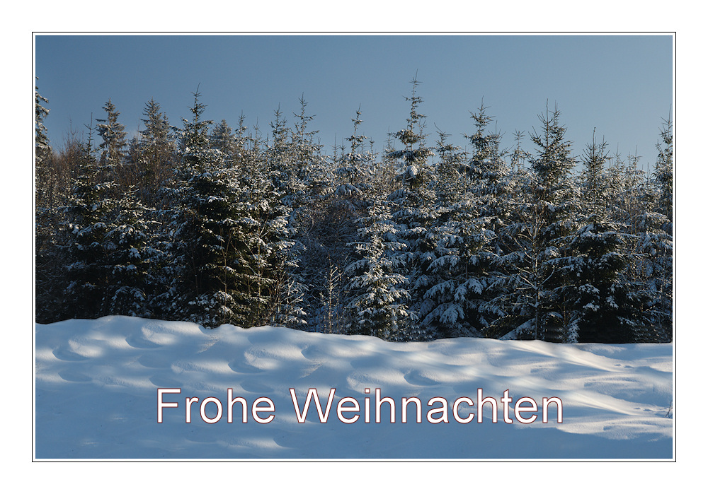 Ein Weihnachtswald...