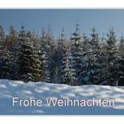 Ein Weihnachtswald...