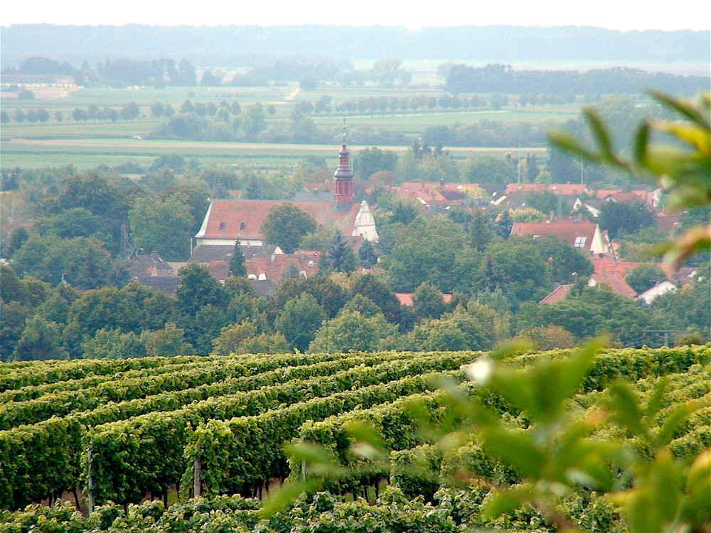 ein Weindorf