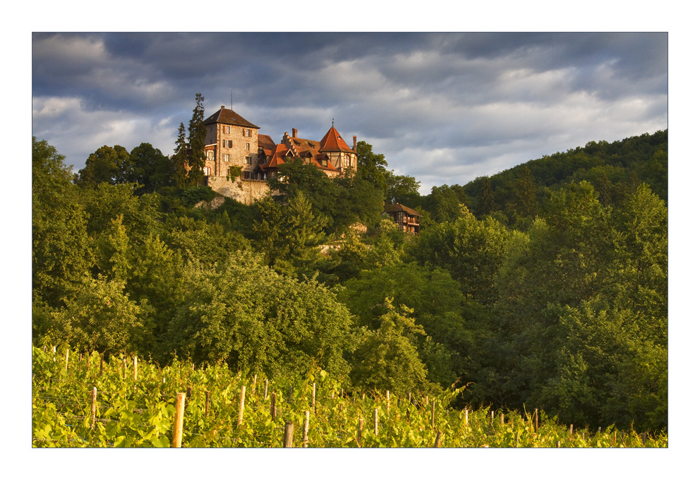 Ein Weingut