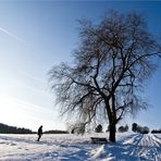 Ein weißblauer Tag