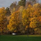 Ein weißer Punkt im Herbstfarbenrausch