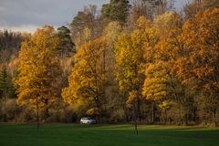 Ein weißer Punkt im Herbstfarbenrausch