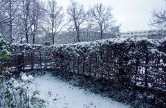 Ein weißer Samstagmorgen in Berlin