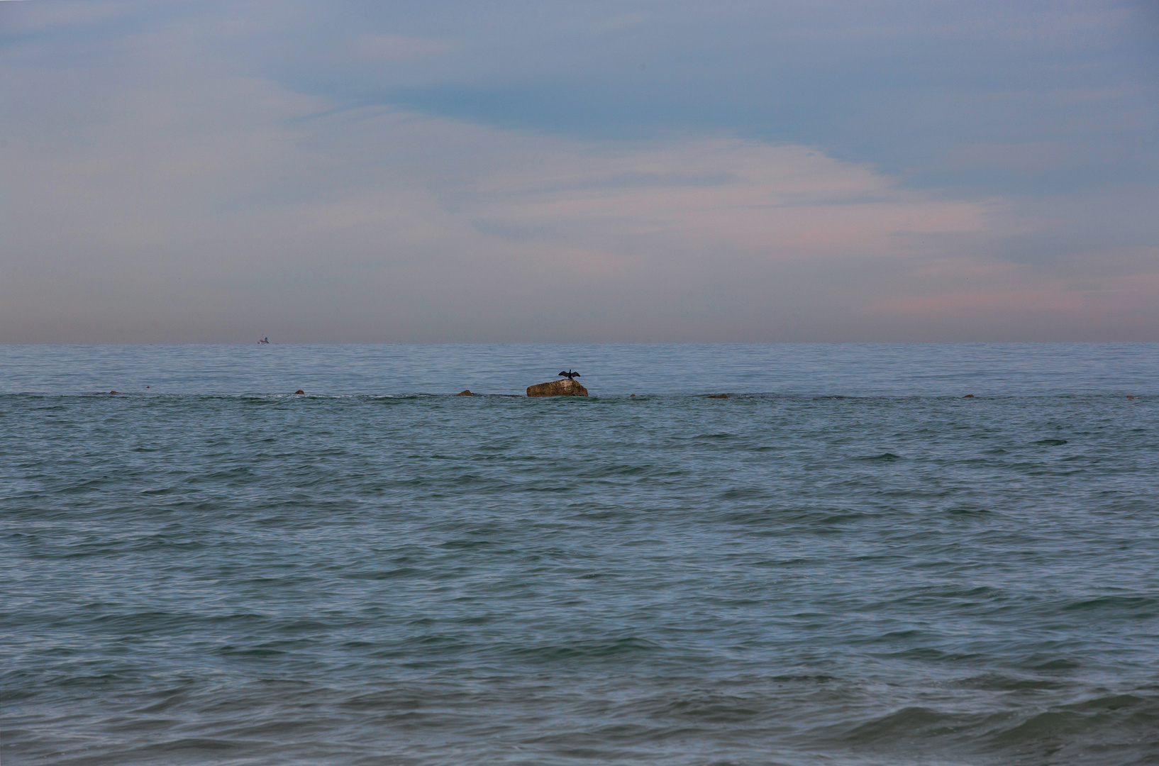 ein weit entfernter Kormoran - und ein noch weiter entferntes Schiff:-)