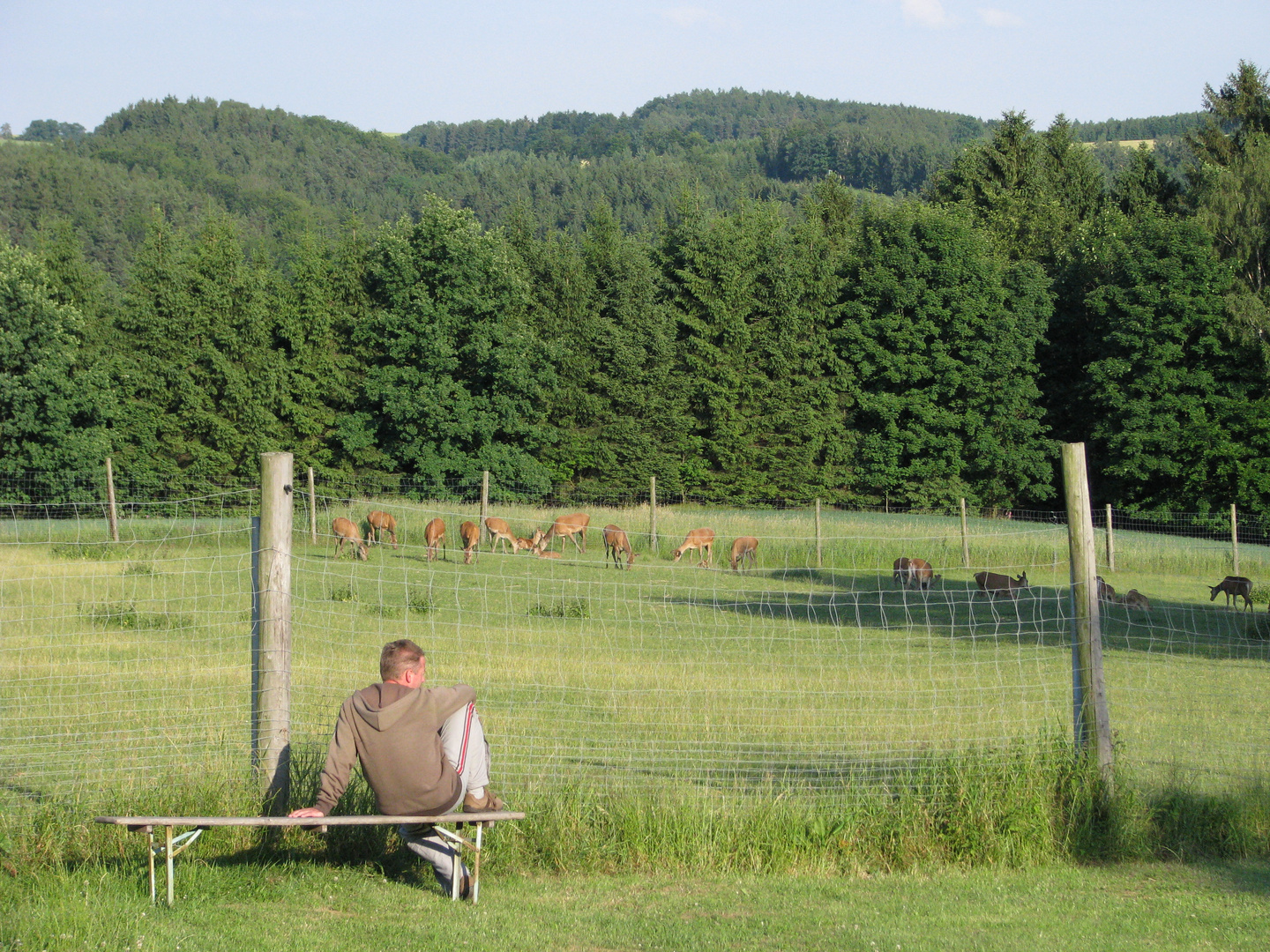 Ein weiter Blick in die Freiheit