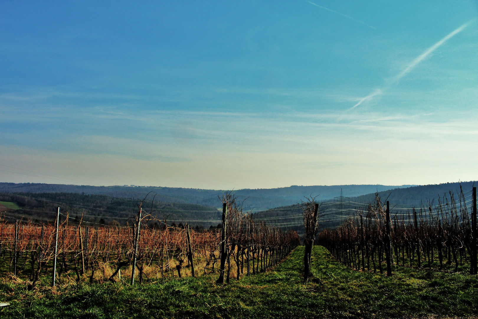 ein weiter Blick ins Land