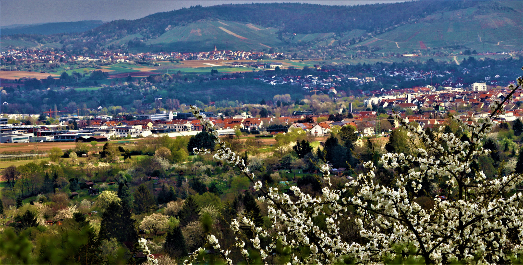 ein weiter Blick über s frühlingshafteLand 