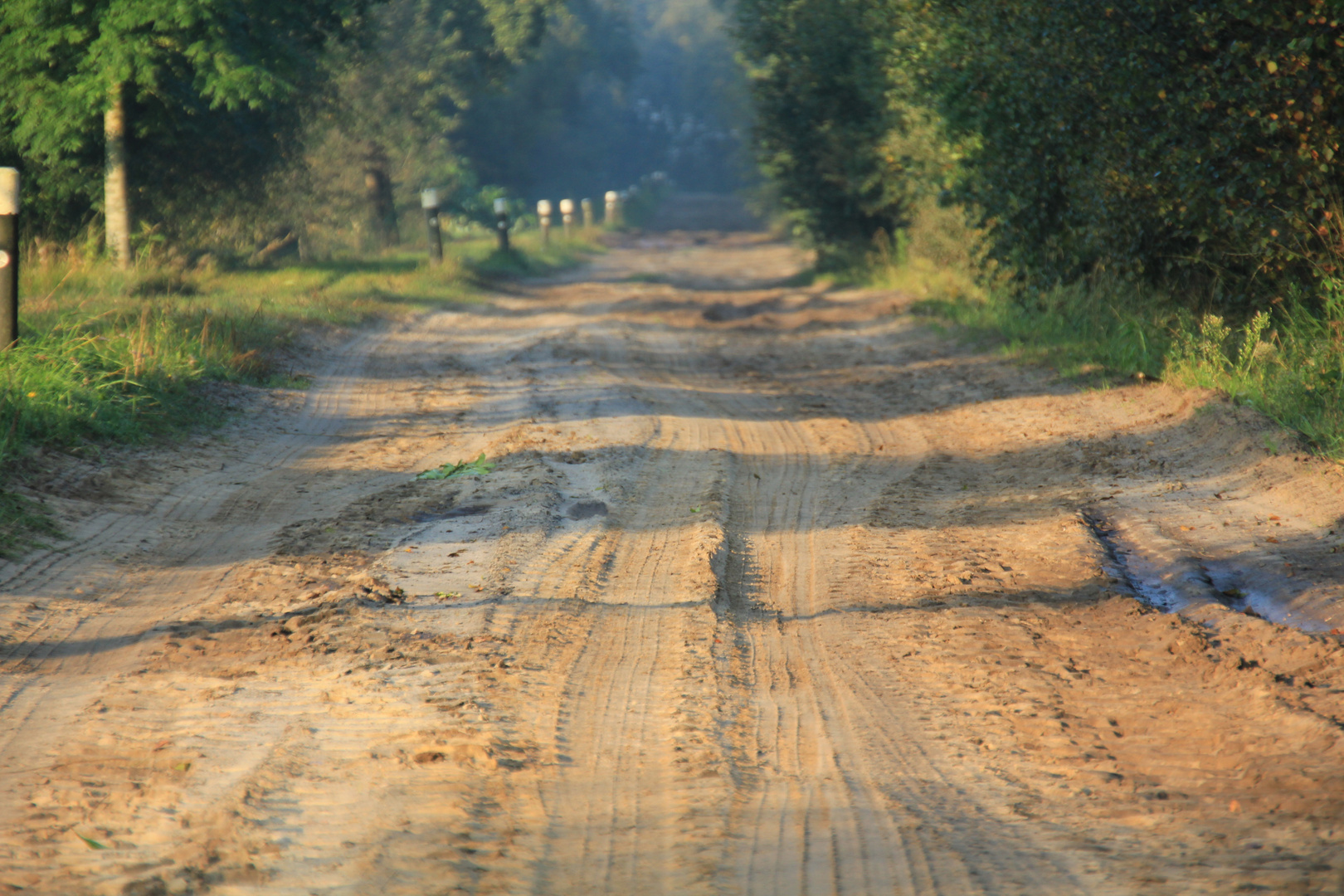 Ein weiter Weg