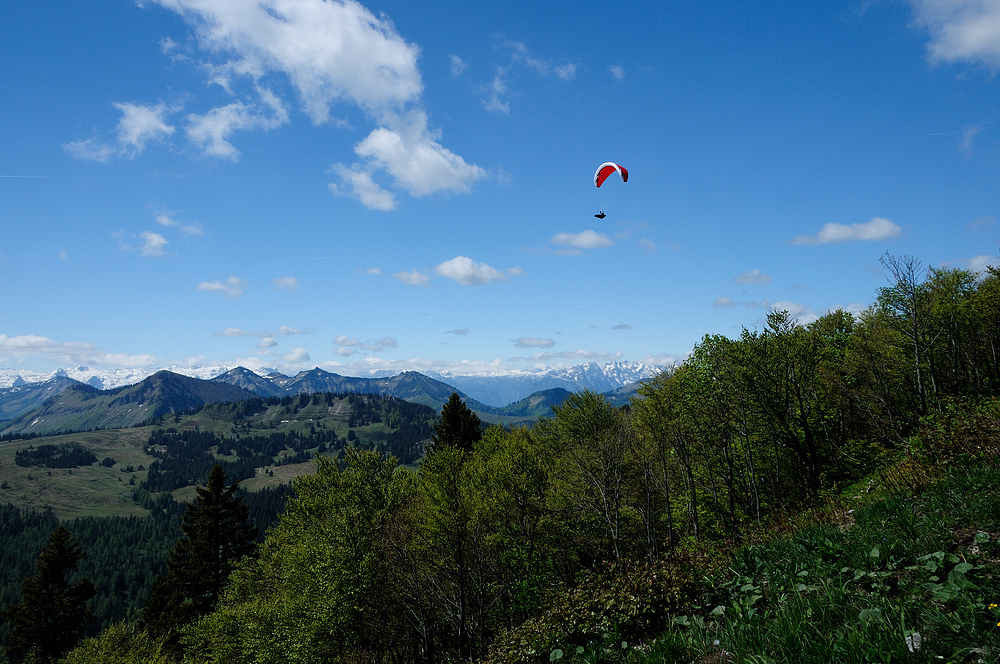 Ein weiterer Blick vom Gipfelkreuz des Zwölferhorn 1522mtr im Salzkammergut