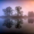 ein weiterer Morgen am Weiher