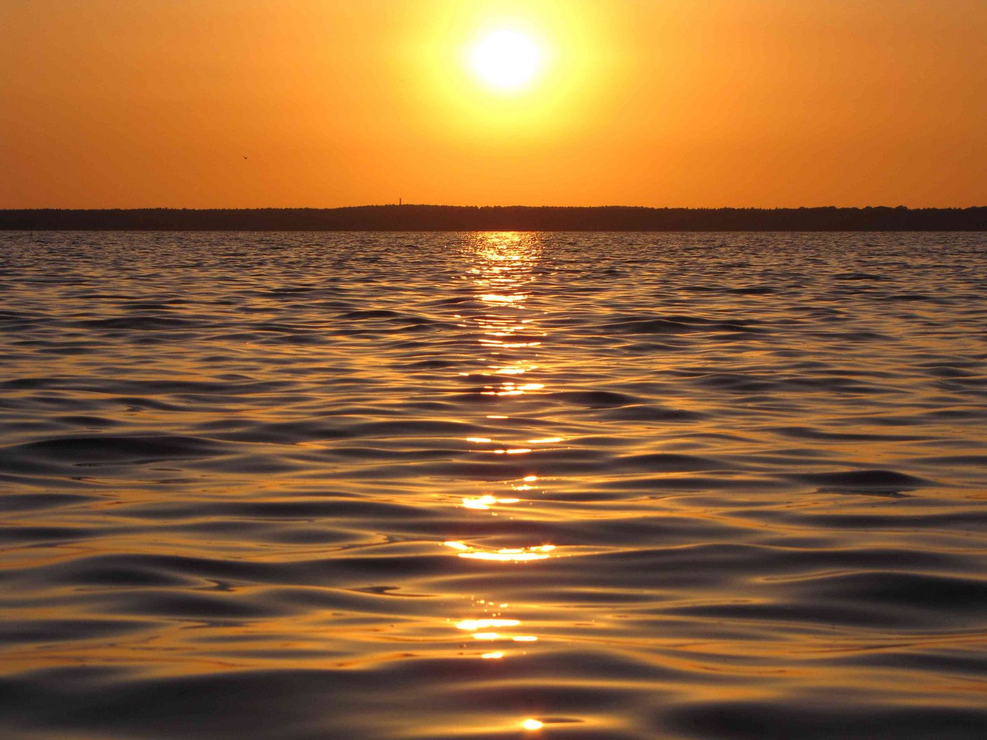 Ein weiterer Sonnenuntergang am Steinhuder Meer ...