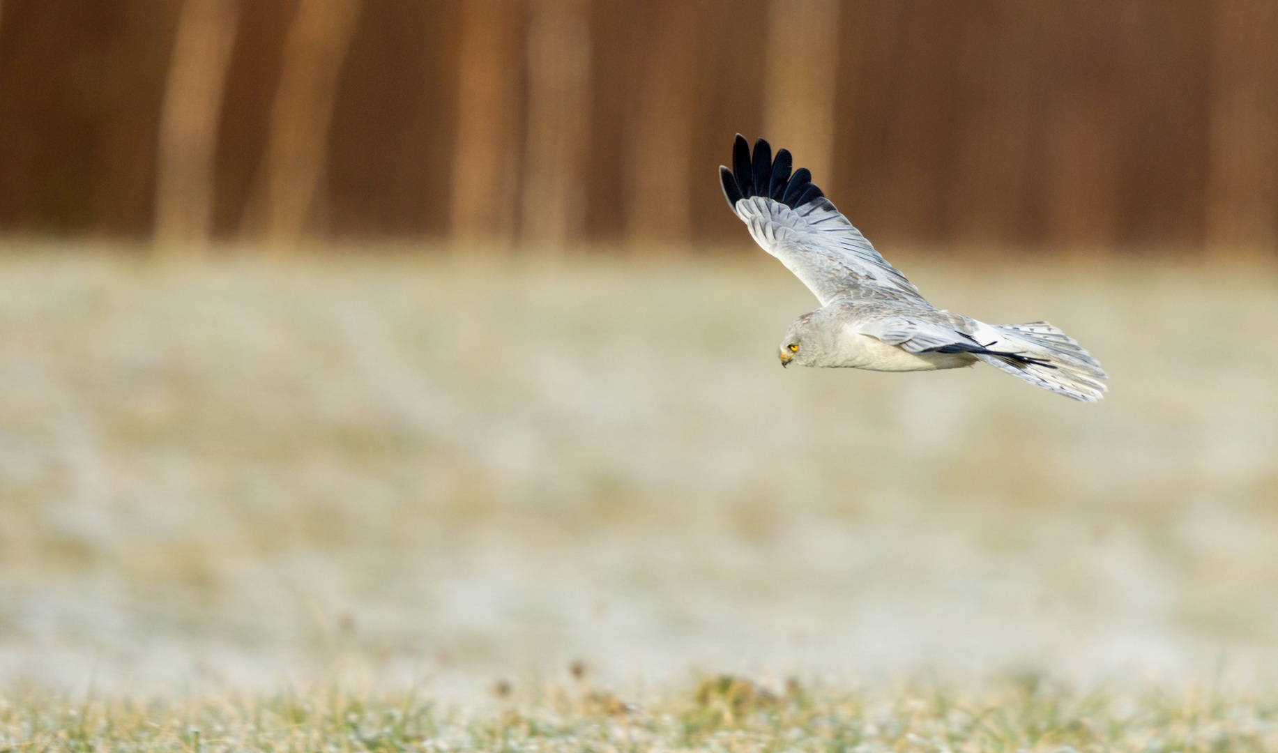 Ein weiterer Vorbeiflug...