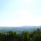 Ein weiteres Bild von der Natur um Rodenberg/Deister