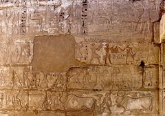 …ein weiteres interessantes Relief im Tempel von Medinet Habu…