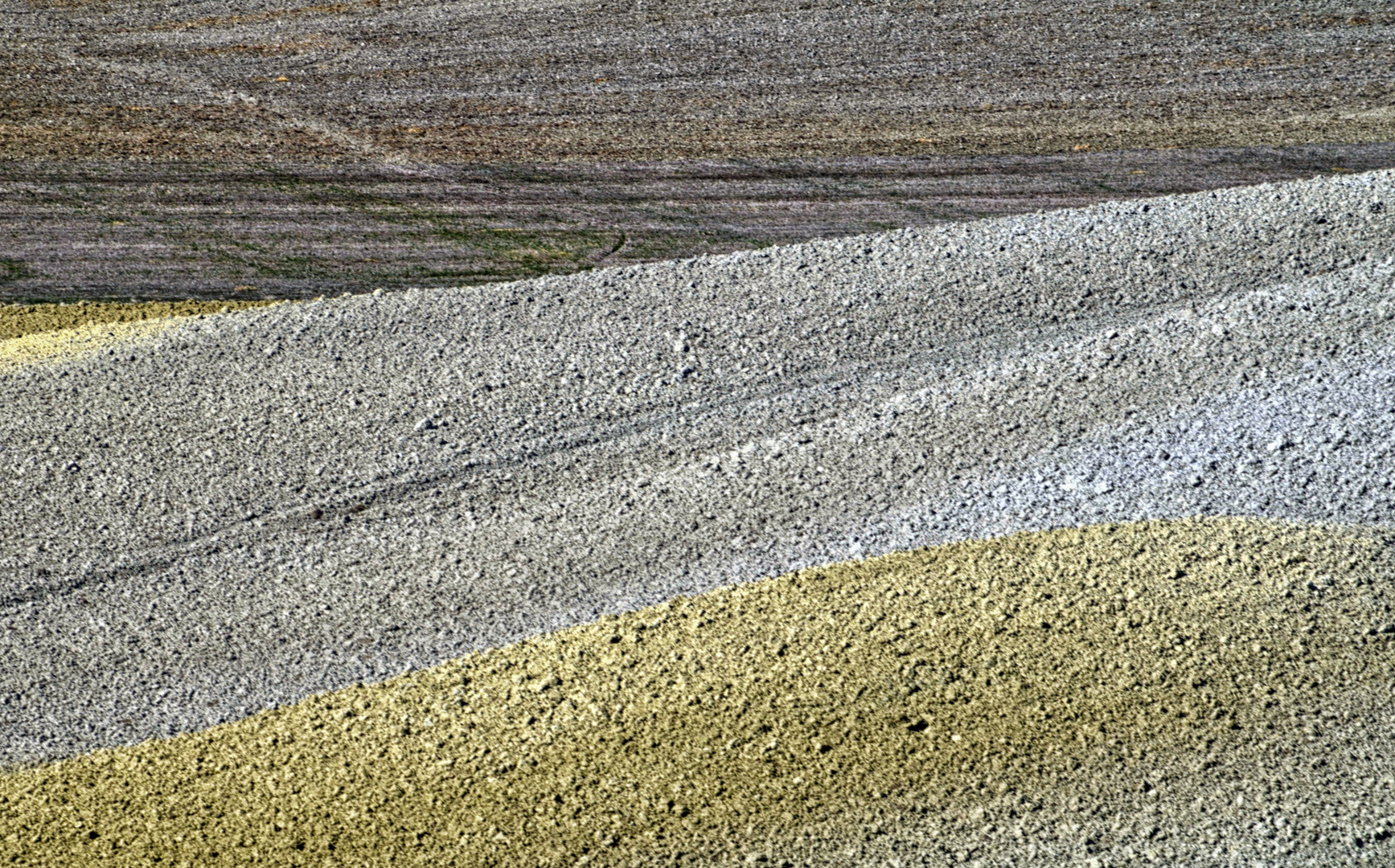 ein weites Feld - mit kleinen Hinguckern