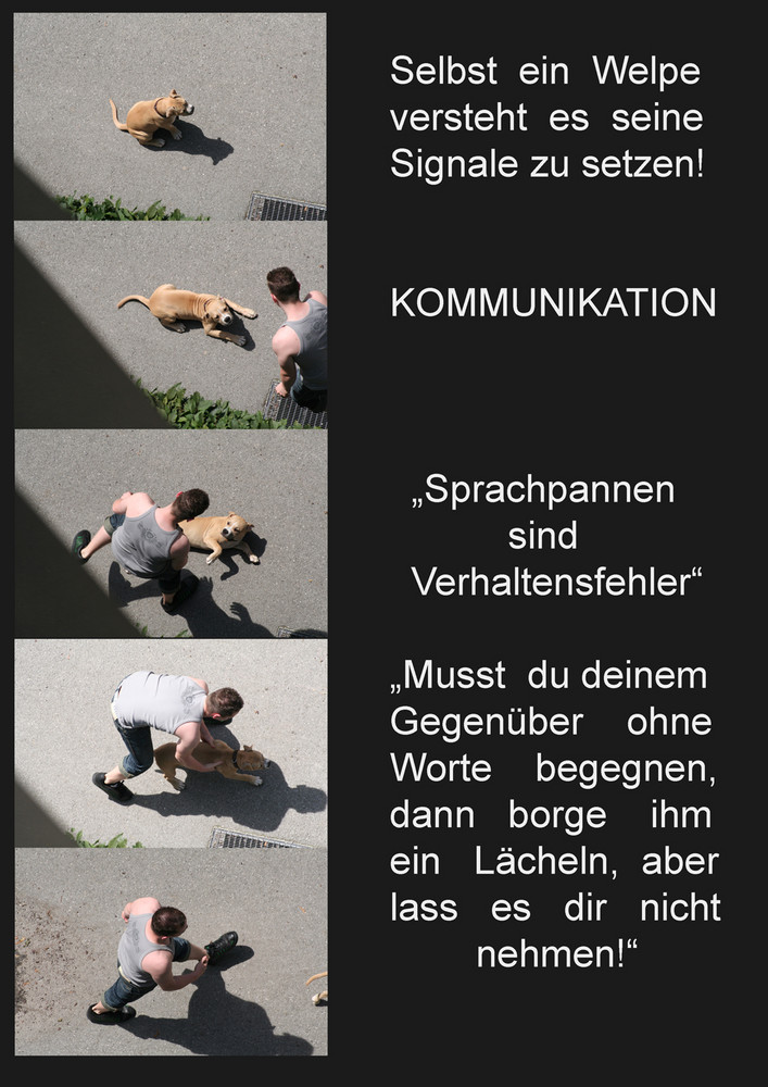 ein welpe setzt seine signale