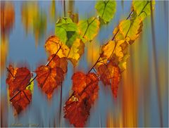 ein wenig Farbe...