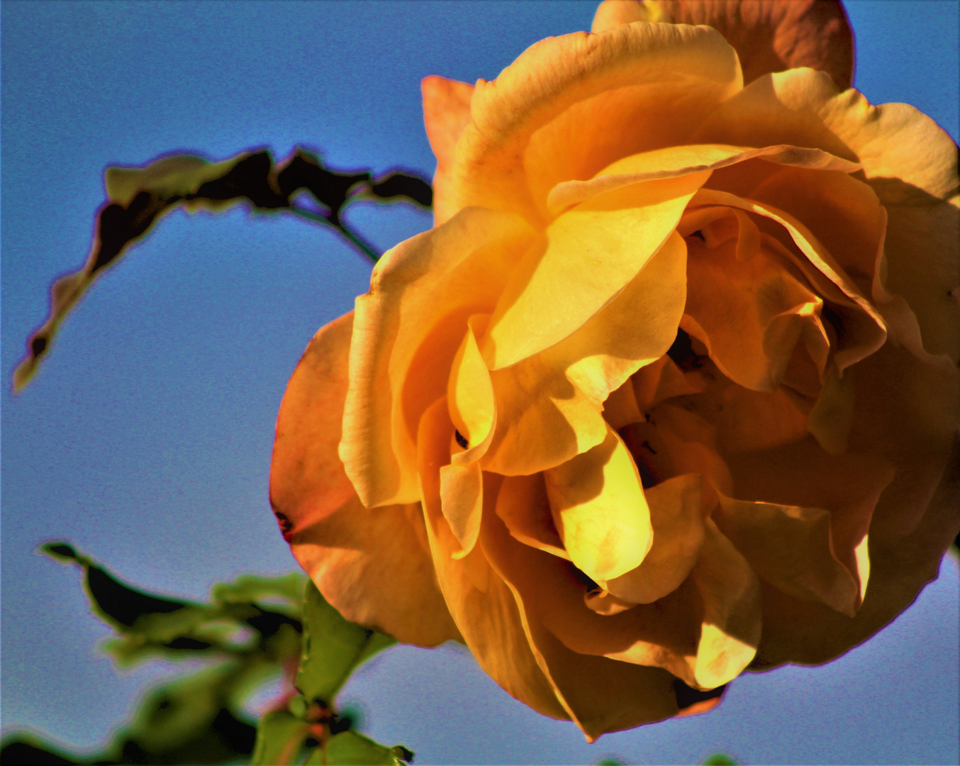 ein wenig Farbe in den grauen Novembertag für Euch