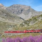 Ein wenig Farbe in der Bernina-Tristesse