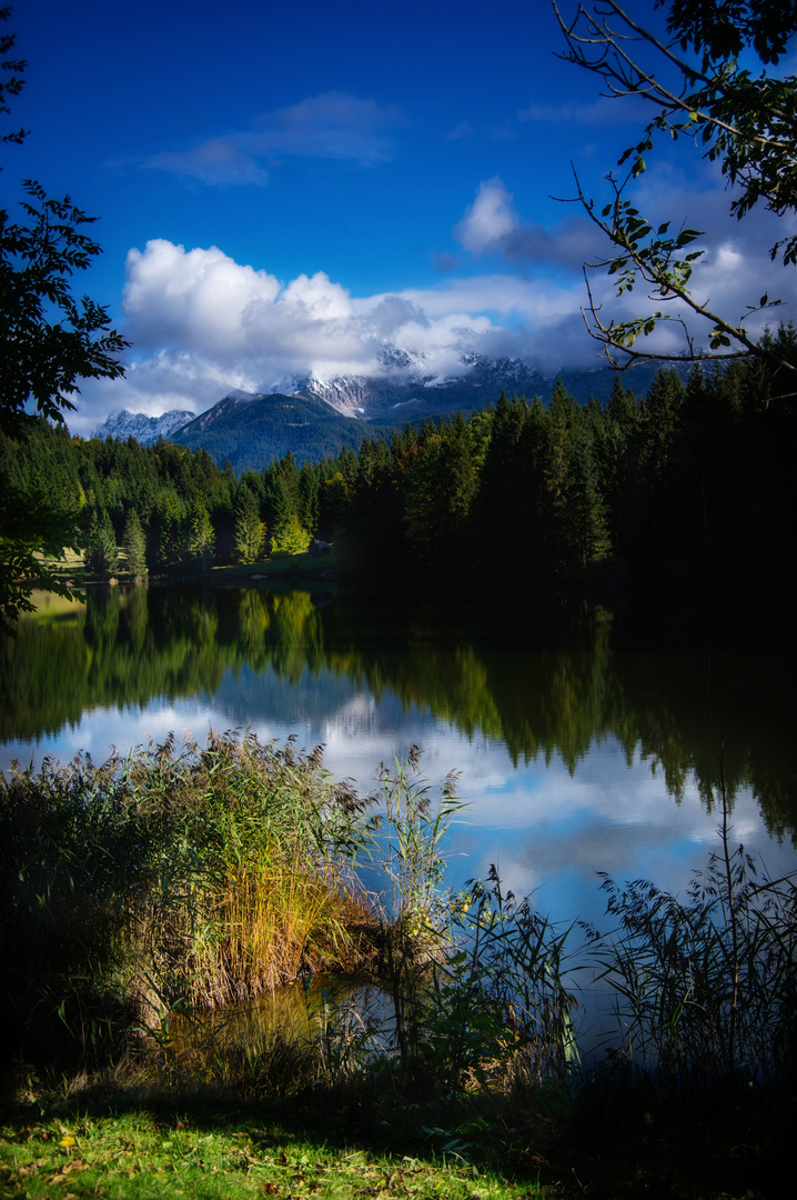 ...ein wenig gegen das triste Grau des Herbstes...