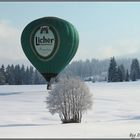 Ein wenig grün im Schnee