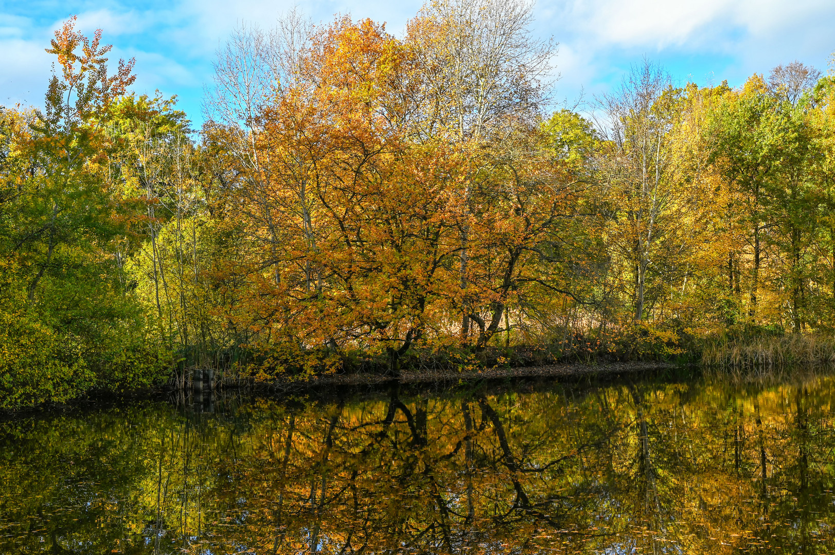 Ein wenig Herbstgold.....