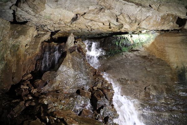 Ein wenig Licht und es Grün