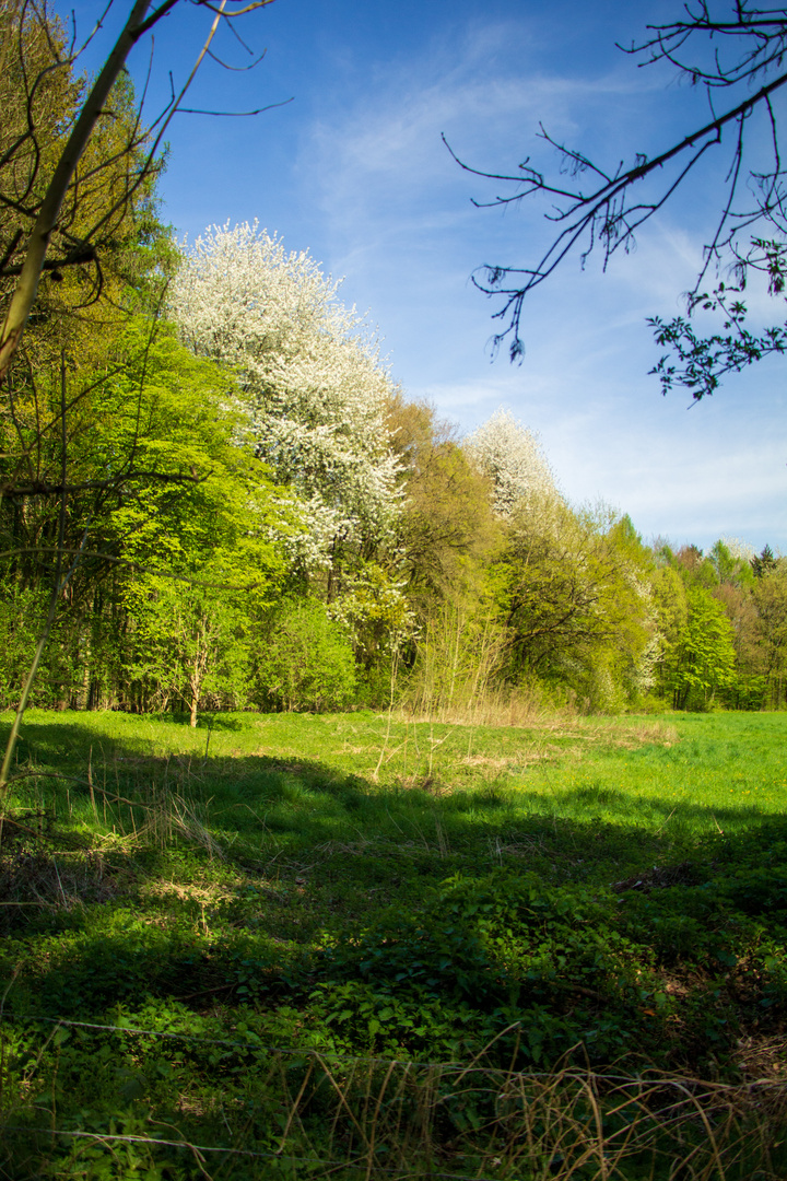 Ein wenig mehr "Auenland"