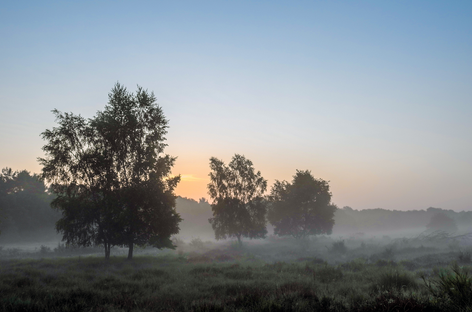 Ein wenig Morgennebel