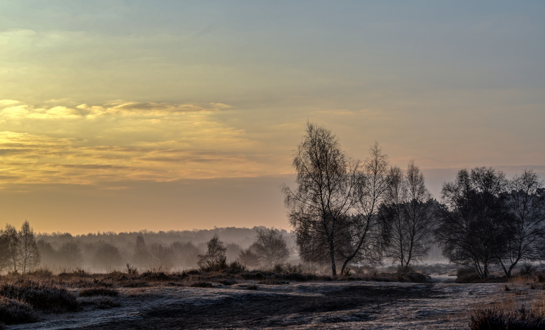 Ein wenig Morgennebel