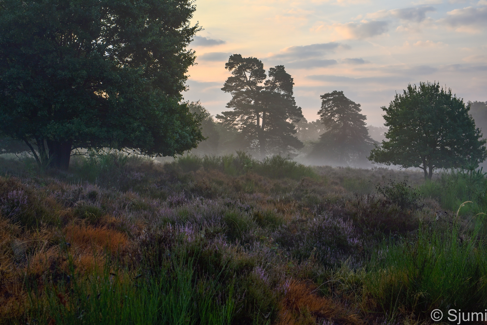 Ein wenig Morgennebel am Fliegenberg