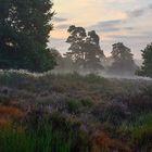 Ein wenig Morgennebel am Fliegenberg