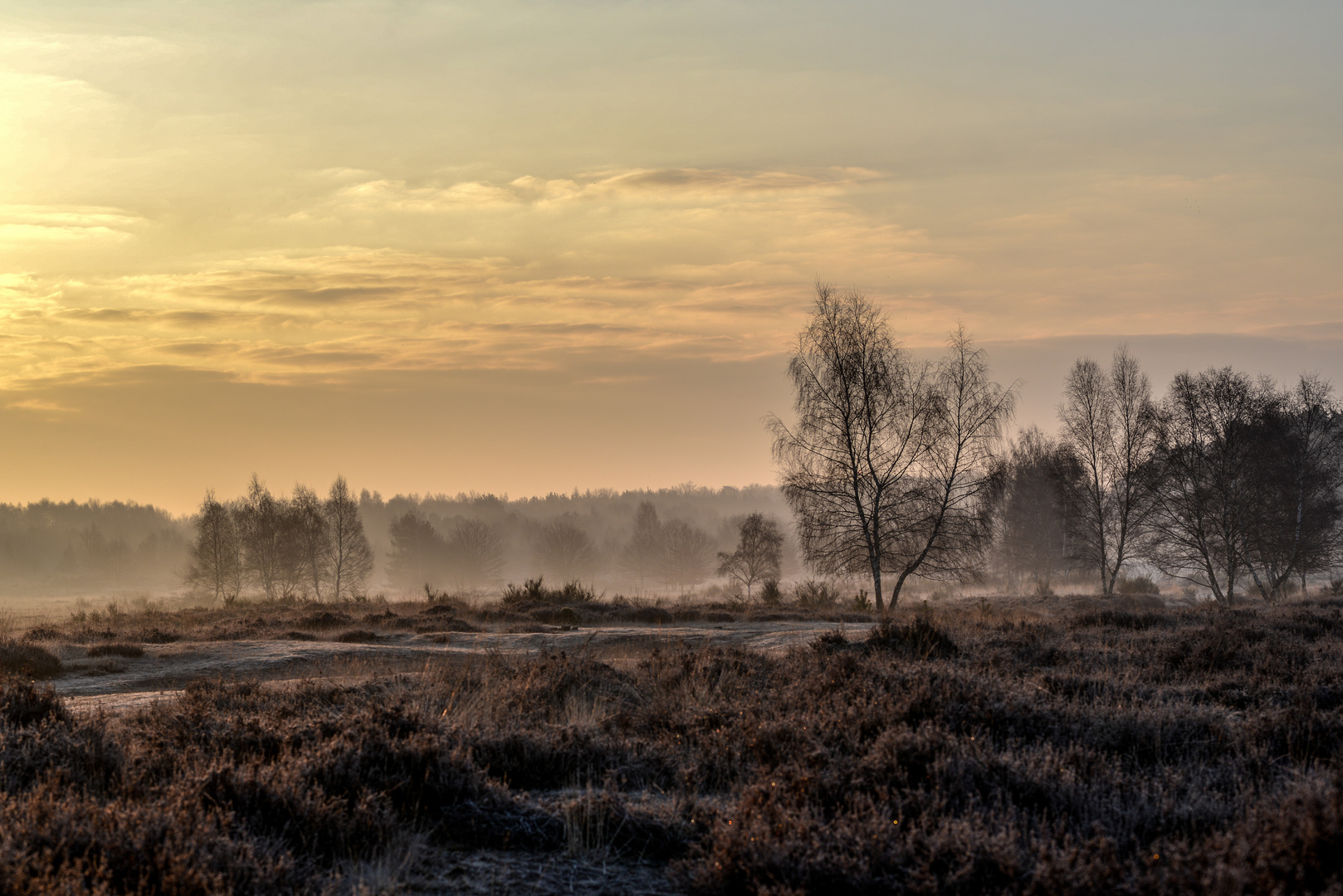 Ein wenig Morgennebel