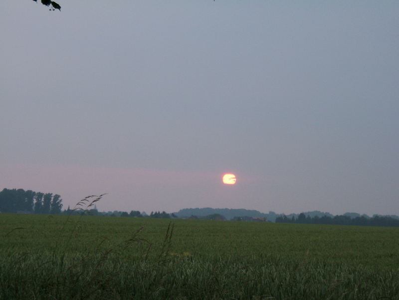 Ein wenig Platz für die Sonne