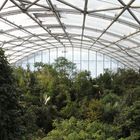Ein wenig Regenwald in Zürich Zoo