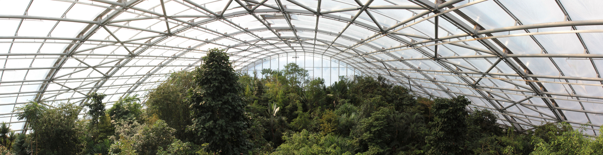 Ein wenig Regenwald in Zürich Zoo