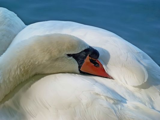 Ein wenig Ruhe und Gelassenheit  ...