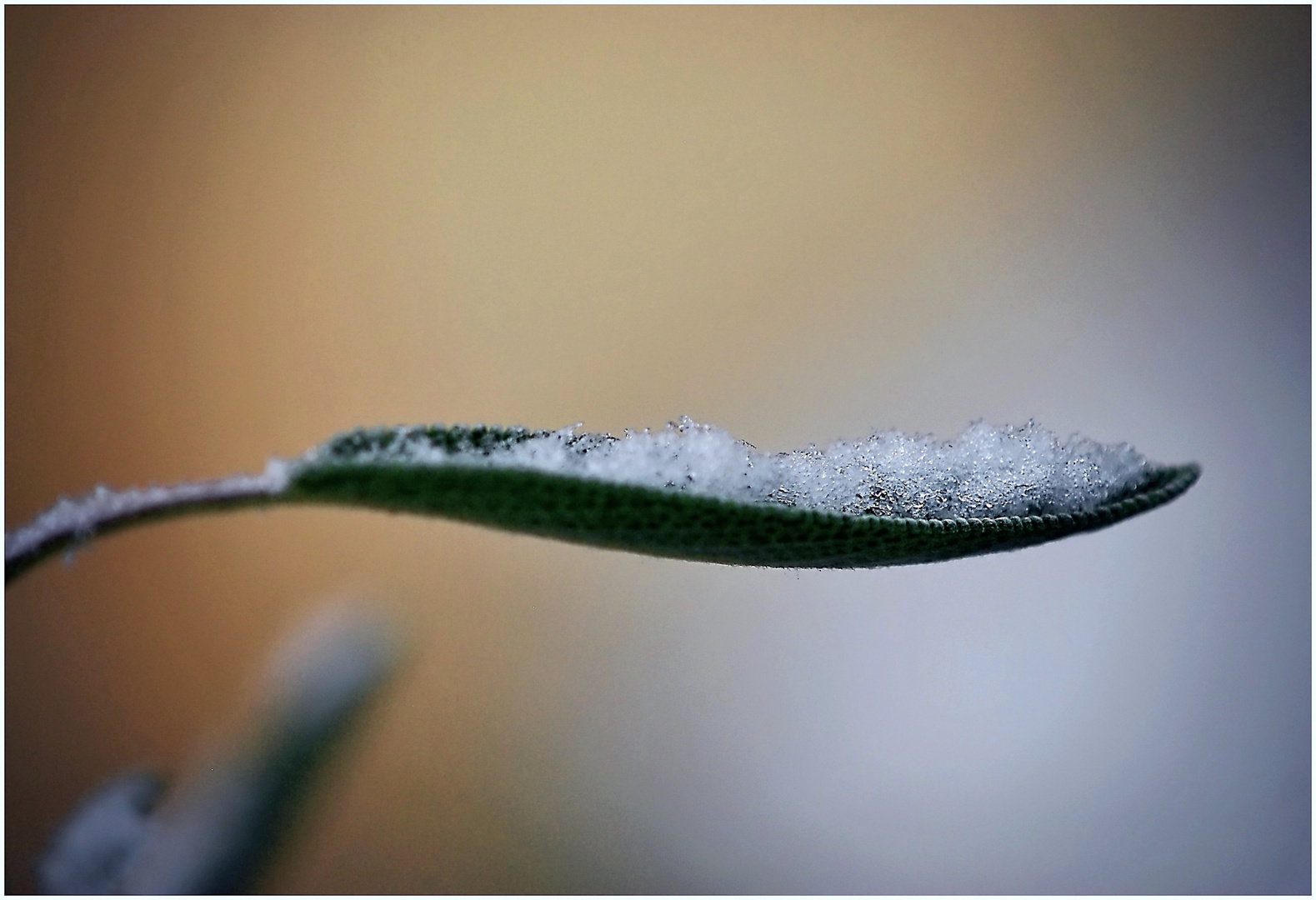 ein wenig Schnee