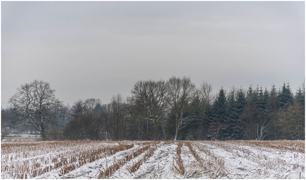 ein wenig Schnee liegt immer noch