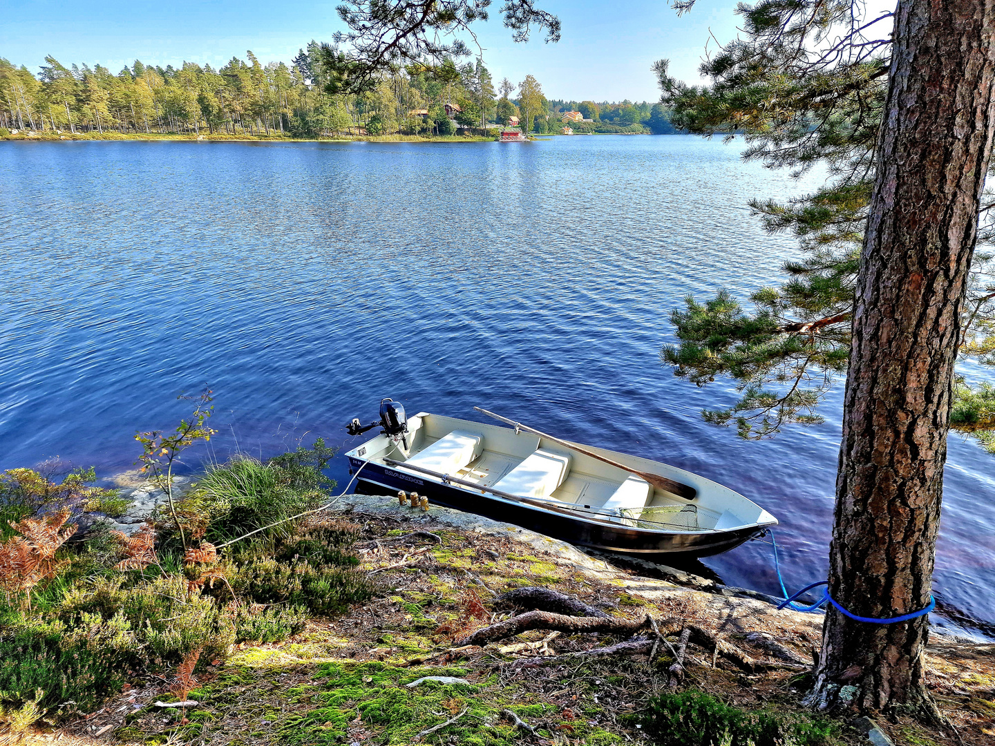 ein wenig Schweden Part II