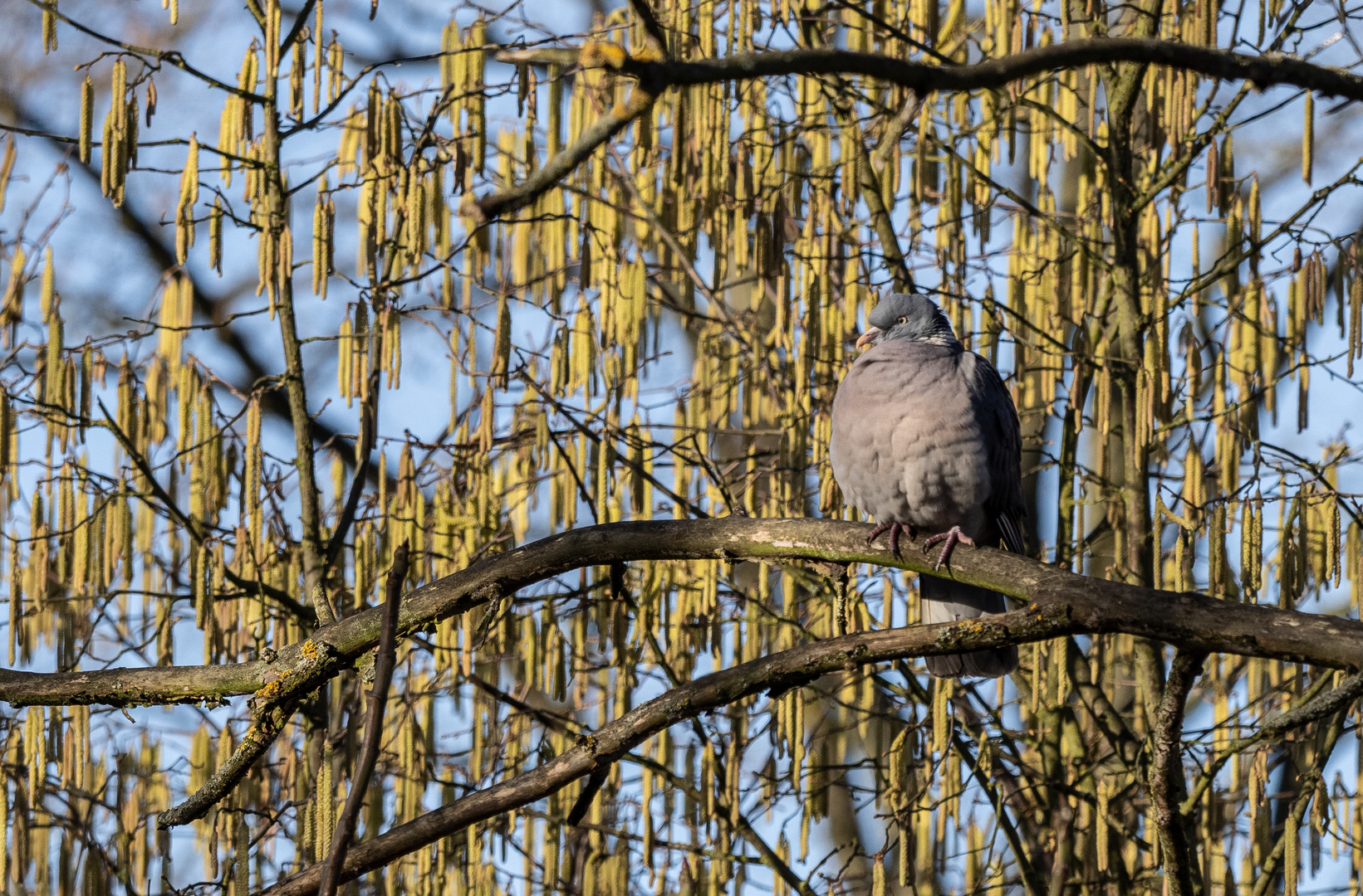 Ein wenig Sonne