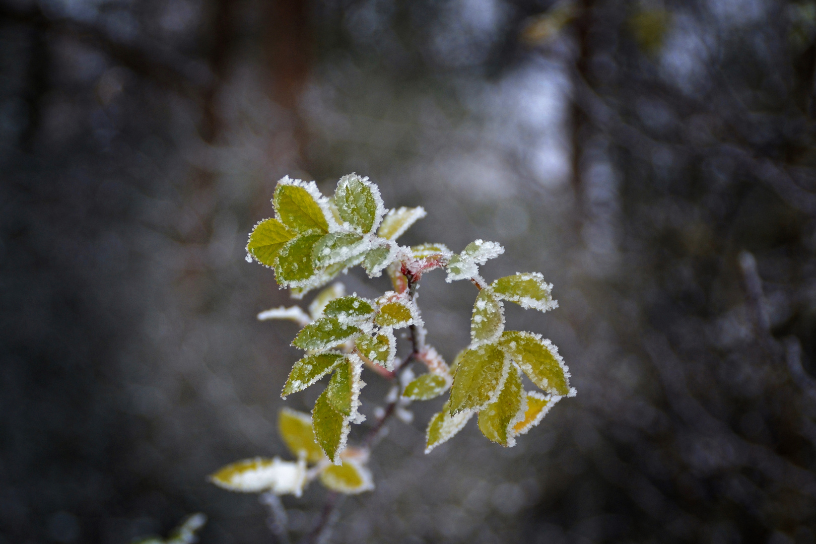 Ein wenig Winter