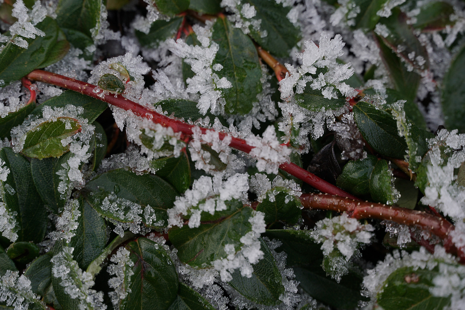 Ein wenig Winter