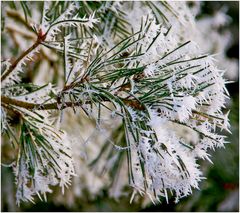 Ein wenig Winter im Norden