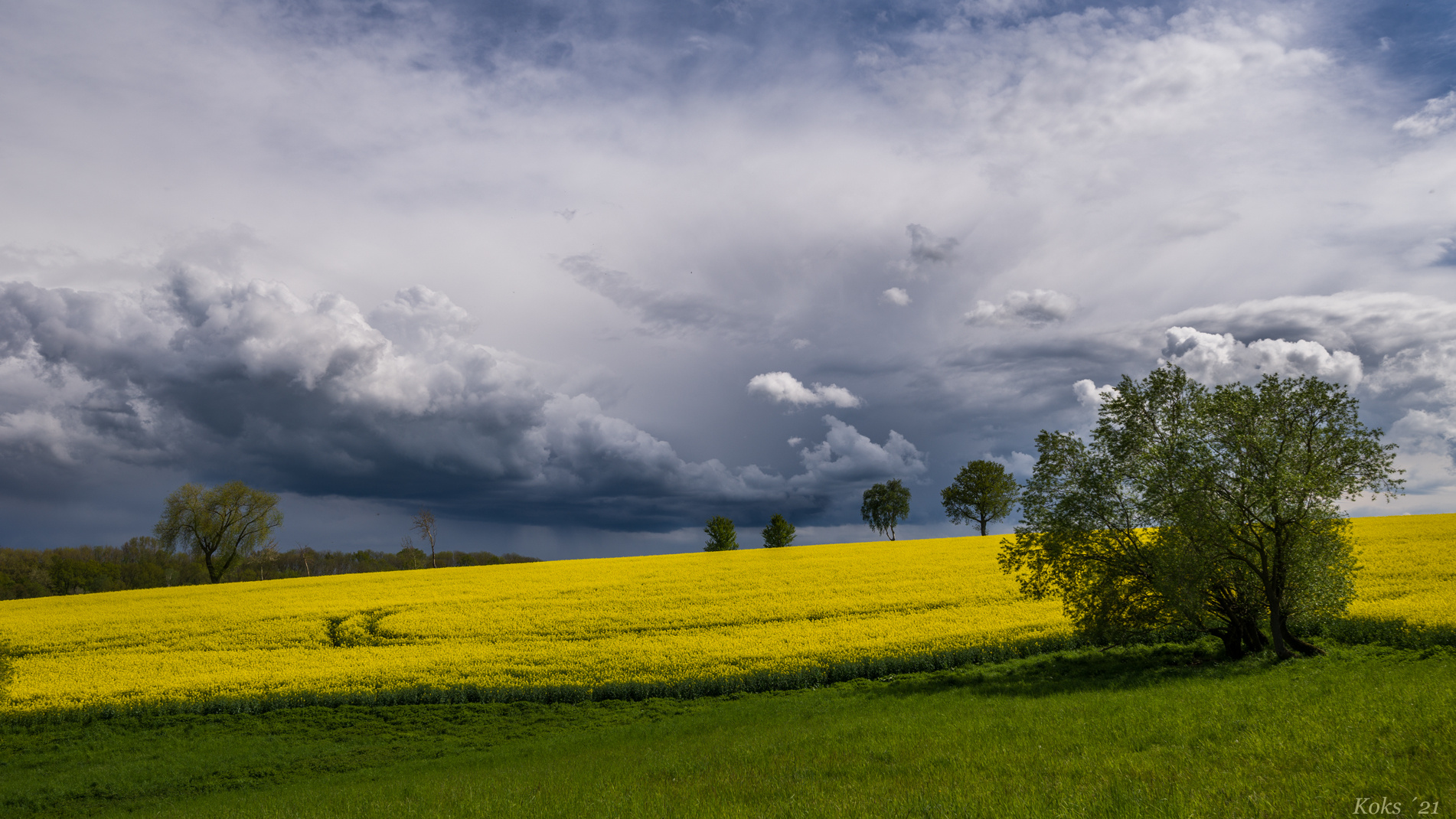 Ein Wetter ist das wieder Foto & Bild | landschaft, jahreszeiten