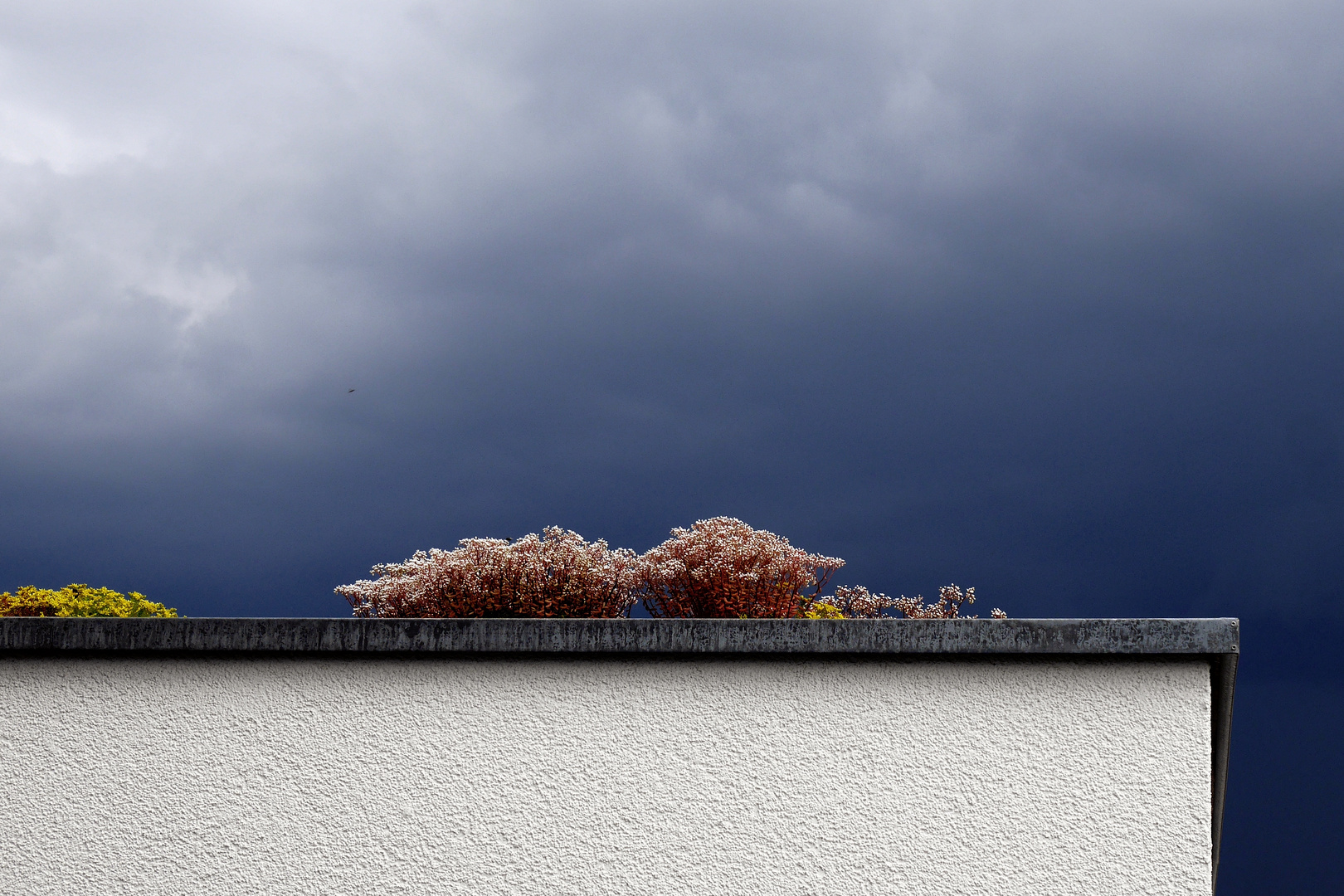 Ein Wetter zieht auf...