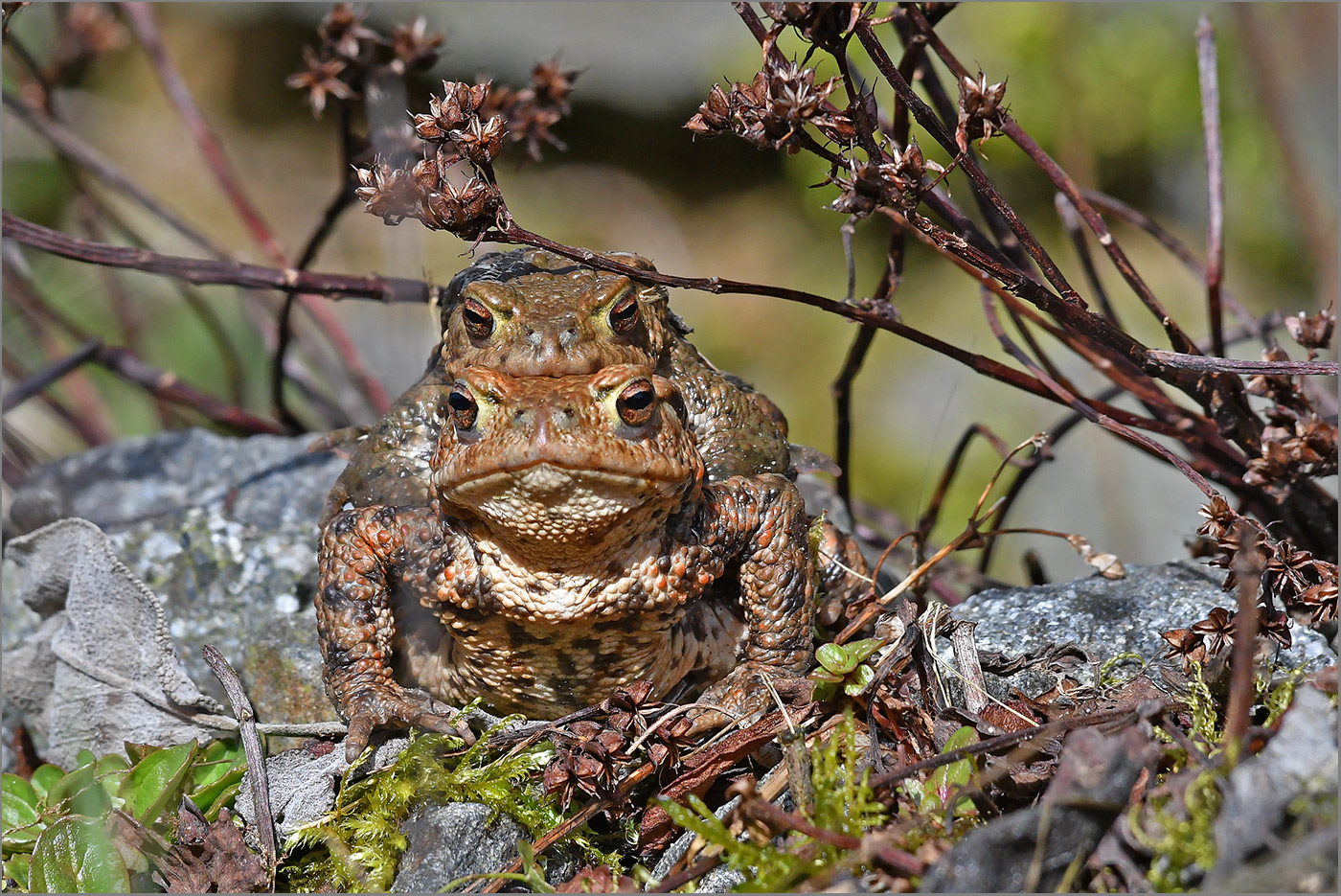 "Ein Wetter zum Helden zeugen"   . . .